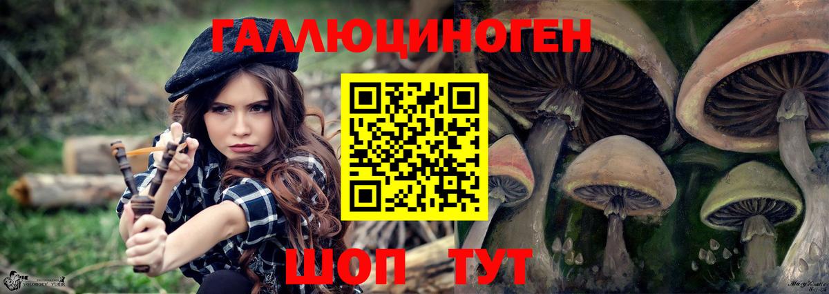 Ковров  Галлюциногенные грибы мухоморы  Псилоцибиновые грибы MAGIC MUSHROOMS  Вход с VPN 